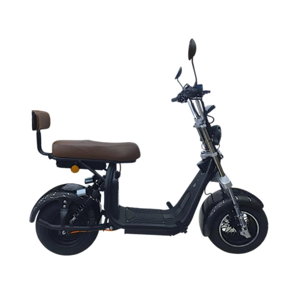 Bicicleta Elétrica X13 - 1000 W