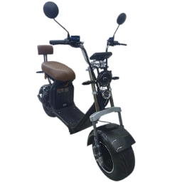 Bicicleta Elétrica X13 - 1000 W